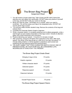 The Brown Bag Project Assignment Sheet