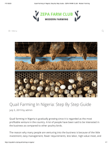 Quail Farming In Nigeria  Step By Step Guide - ZEPA FARM CLUB - Modern Farming