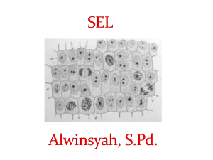 sel alwinsyah