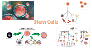 4.1.2.3 Stem cells