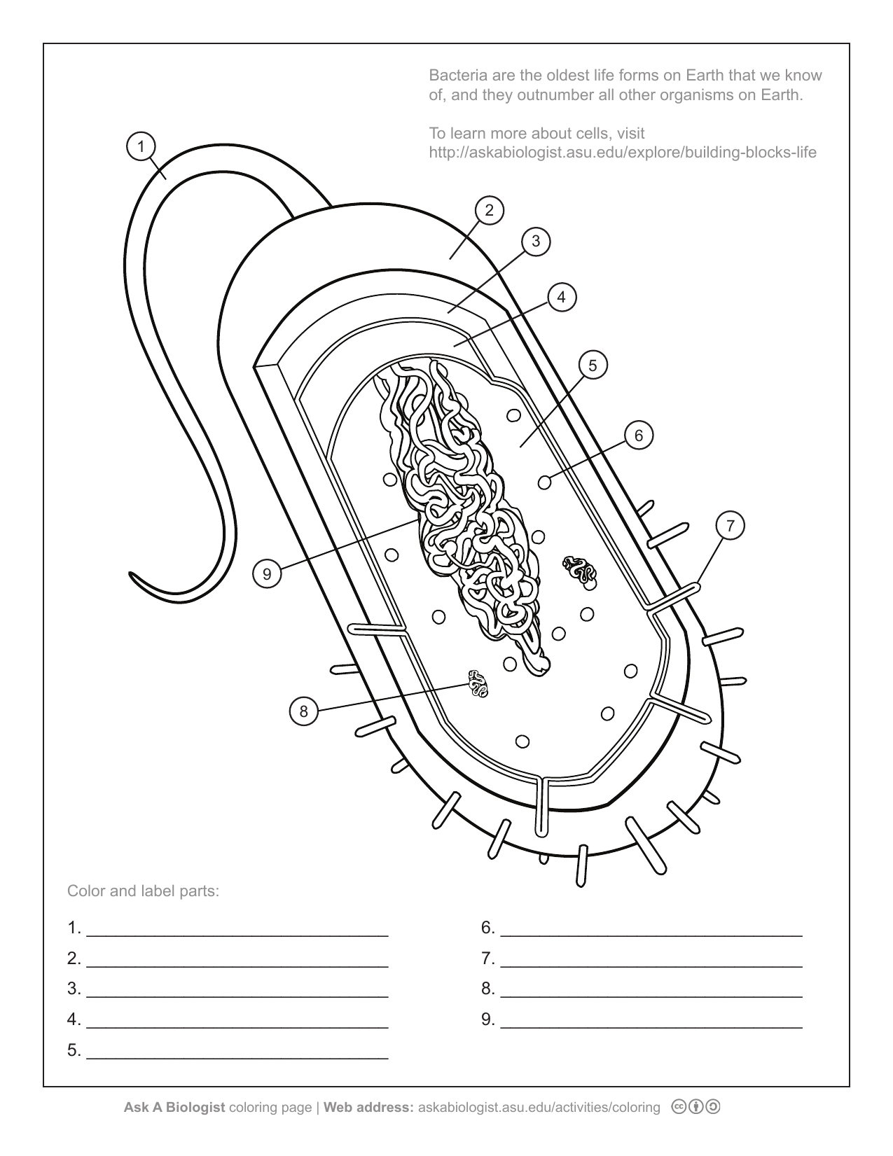 ask a biologist coloring page