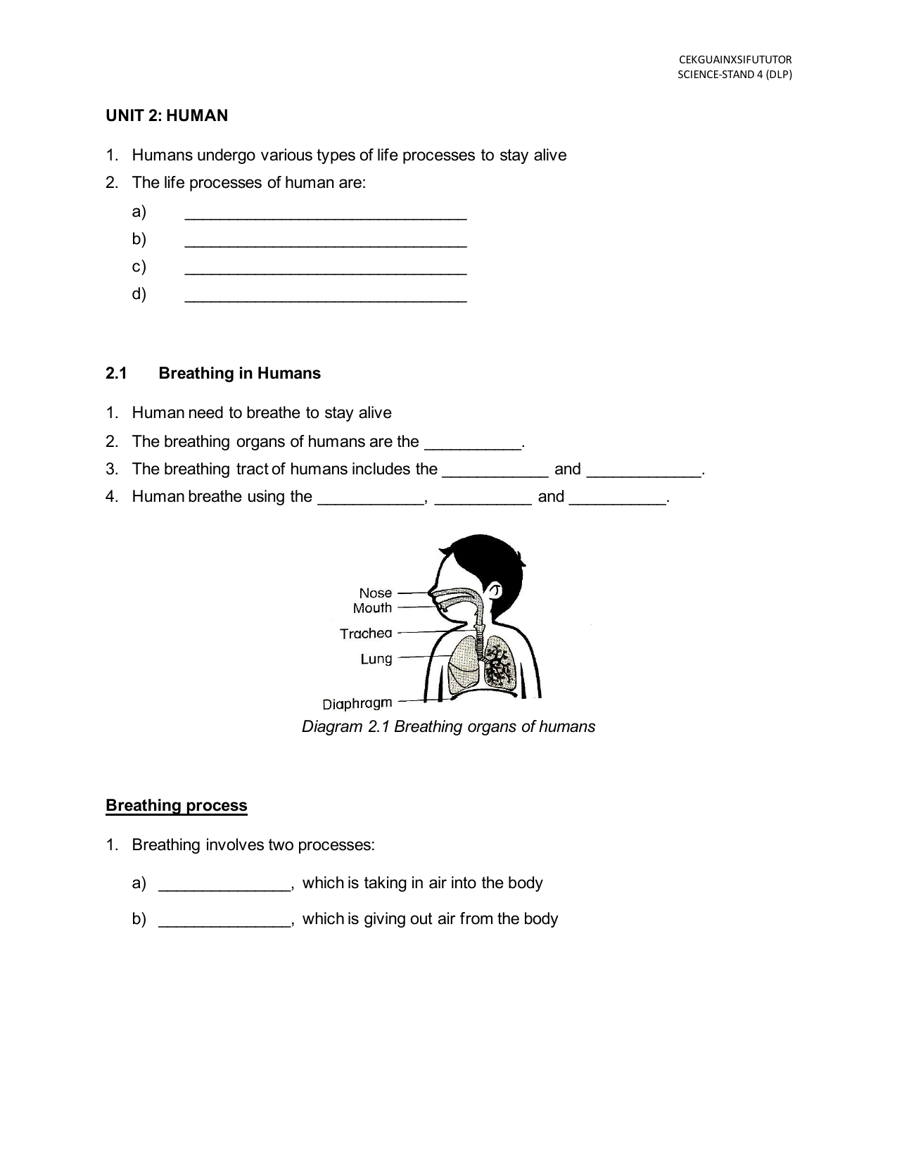 Dlp Science Year 3 Exam Paper Emma Manning