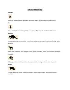 Animal Meanings 3