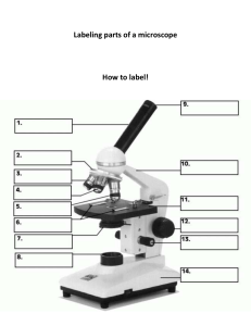 Labeling parts of a microscope