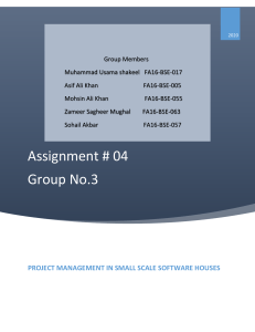 project development in small scale software houses