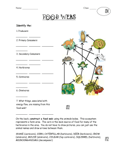7 science ecosystems food web