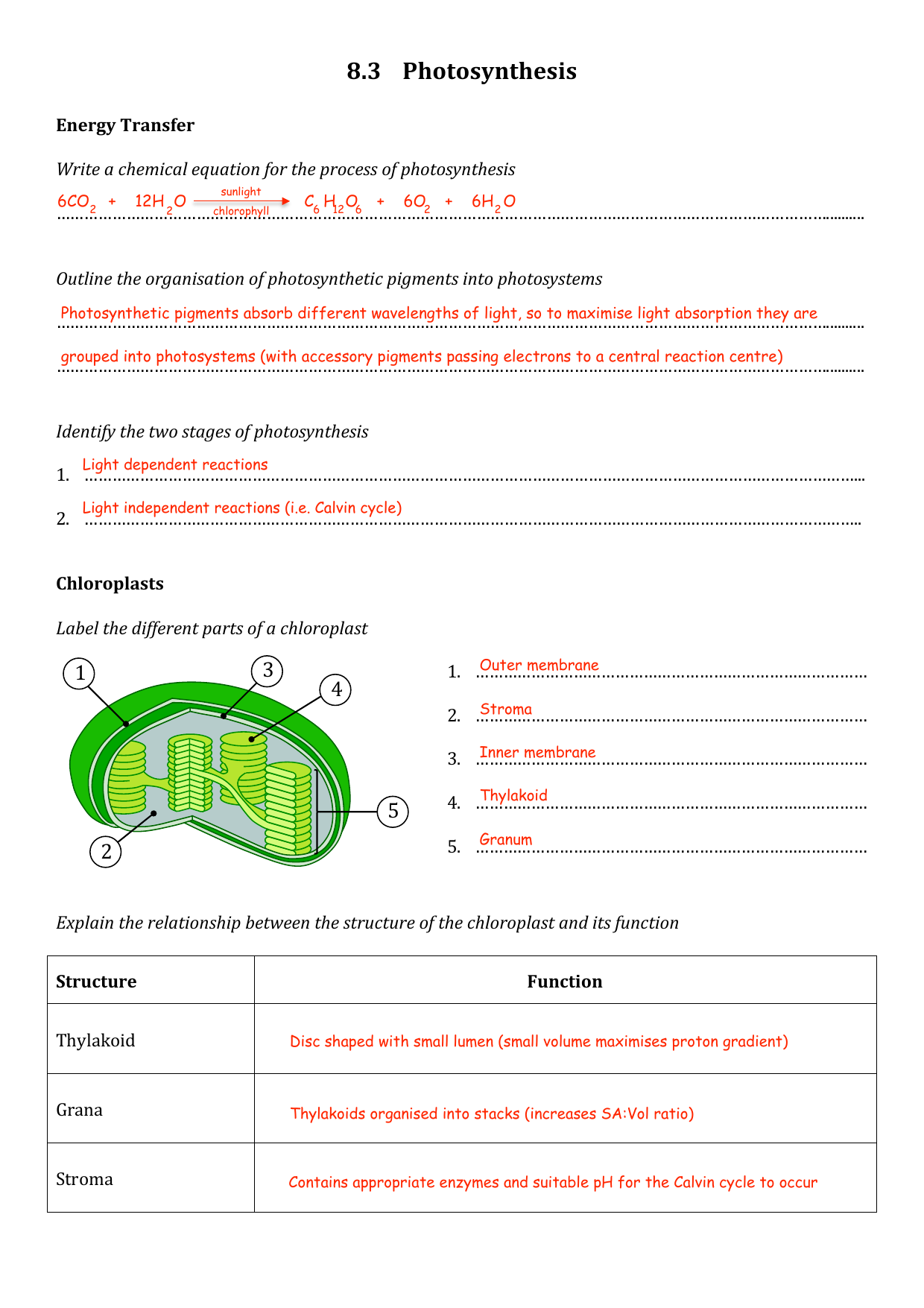 topic 22.22 worksheet (answers) With Regard To Photosynthesis Worksheet High School