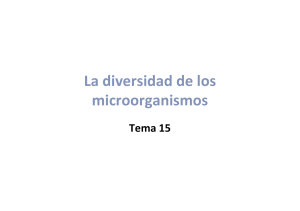 Tema 15 Microorganismos