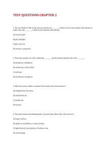 TEST QUESTIONS MULTIPLE CHOICE