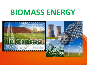 Biomass Energy generation 