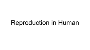 Reproduction in Human