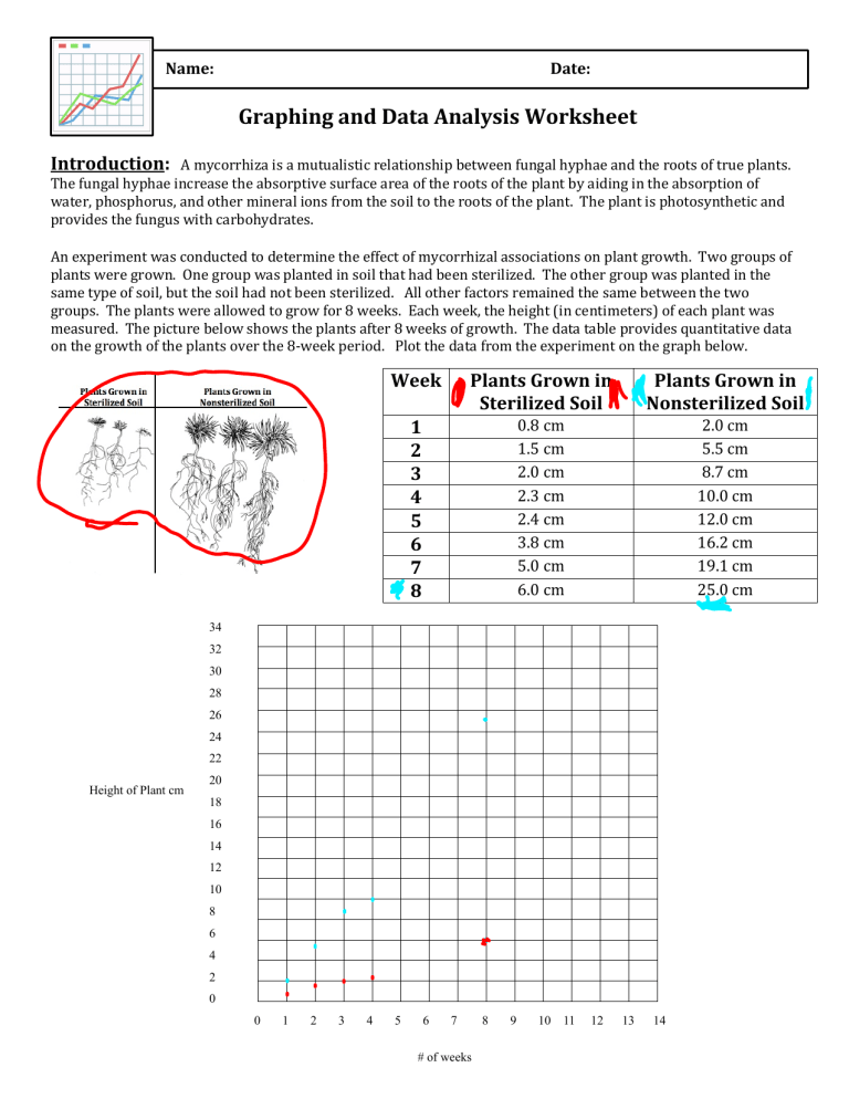 kami-export-graphing-worksheet-5