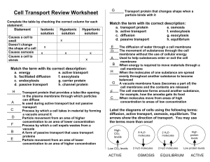 Cell-Transport-Review-KEY