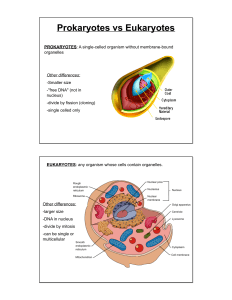 05.01 prokaryotes vs eukaryotes
