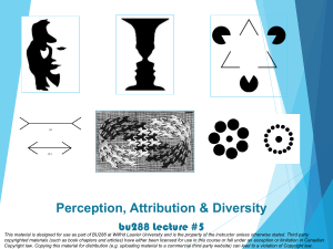 BU 288 Lecture 5 Perception Attribution Diversity upload1