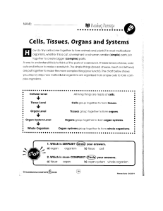 Cells tissues organs and systems