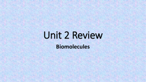 Unit 2 Biomolecules Test Review (1)