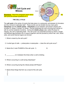 Cell Cycle and Mitosis discovery lab