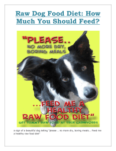Raw Dog Food Diet How Much You Should Feed.docx