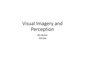 Lecture 4 - Visual Imagery and Perception