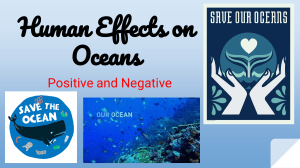 Human Effects on Oceans final