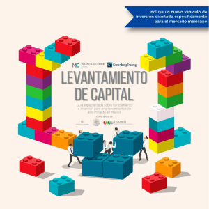 7. ESPAÑOL   Guía de levantamiento de capital