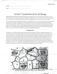 Transpiration Lab-1 1197977445.pdf