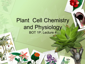 Lecture 4.Cell Chemistry and Physiology