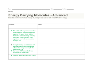 Energy Carrying Molecules CK12