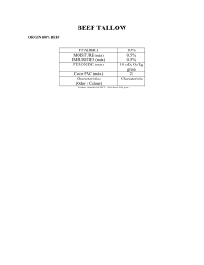 Beef tallow 10 % Specs