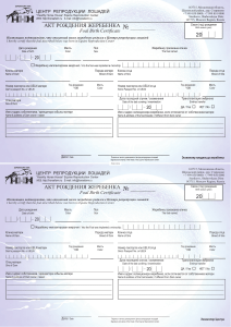 Birth certificate vec