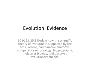 evidence for evolution 