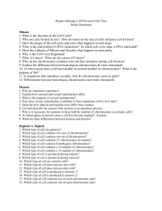 Mitosis & Meiosis Study Guide