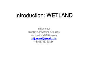 Wetland, Introduction