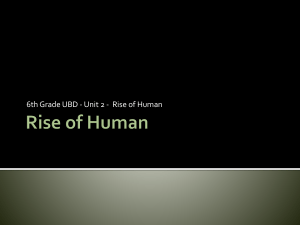 Rise of Humans