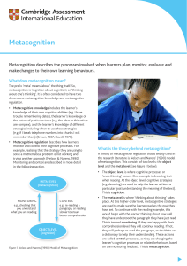 272307-metacognition