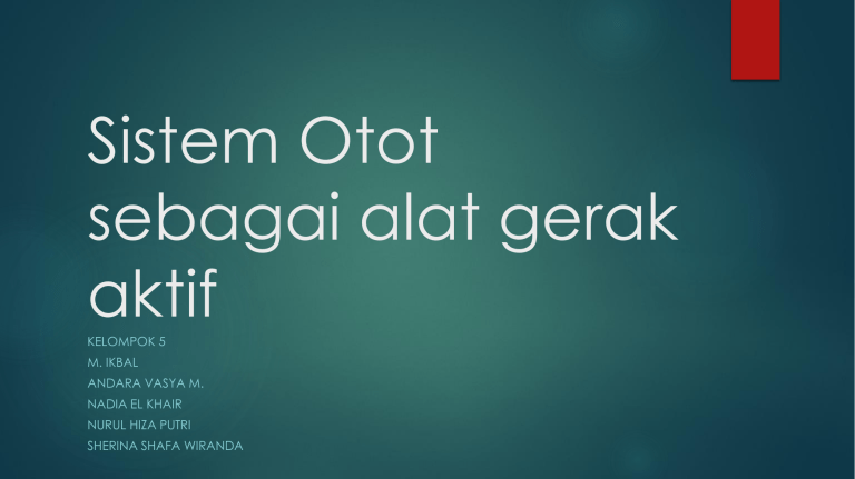 Sistem Otot Sebagai Alat Gerak Aktif