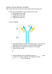 immune cells and immunoglobulins- worksheet 2