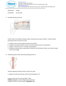 Soal Latihan Biologi OSN: Struktur dan Fungsi Tumbuhan