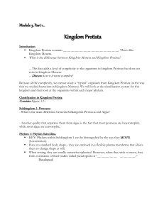 Kingdom Protista Apologia