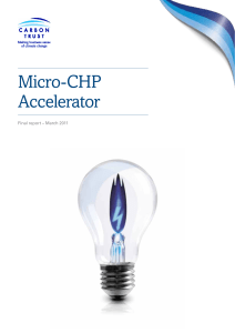 Micro CHP (Combined Heat and Power) Accelerator - Micro-CHP Accelerator - REPORT