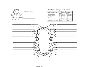 baby-teeth-chart-1