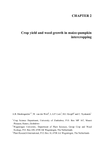 Crop yield and weed growth in maize-pumpkin