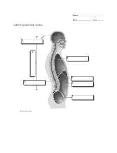 Body Cavities Blank Diagram