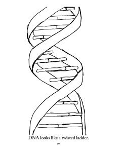 DNA-Coloring-Page