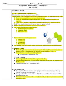 ch 12 DNA and RNA cornell notes