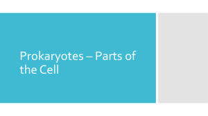 Prokaryotes – Parts of the Cell.pptx