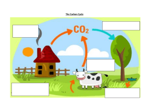 carbon Cycle diagram to label