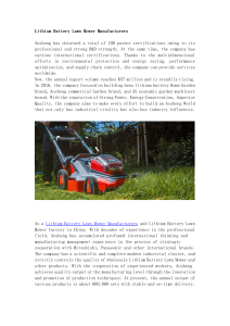 Lithium Battery Lawn Mower