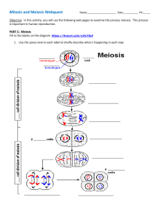 Meiosis Webquest